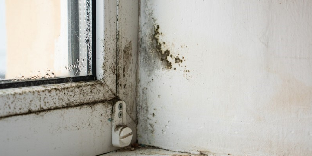 Black Mold