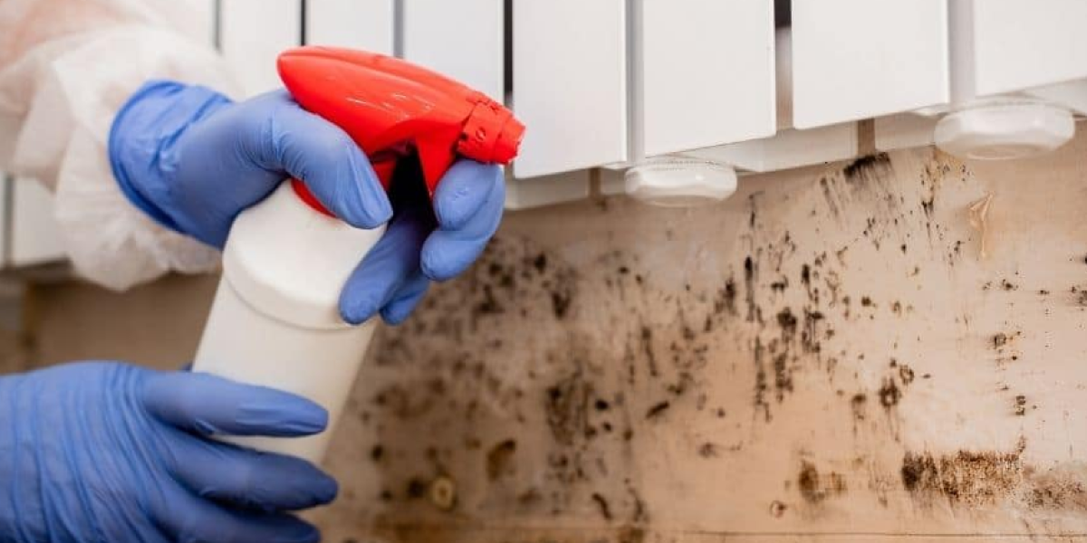 Mold Remediation