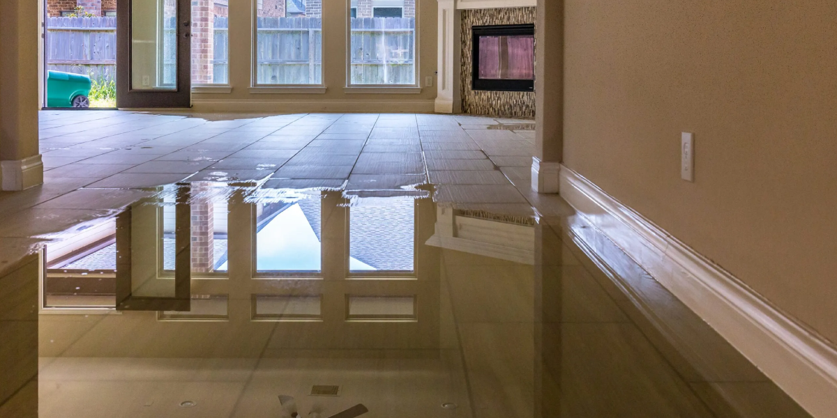 What is Water Mitigation