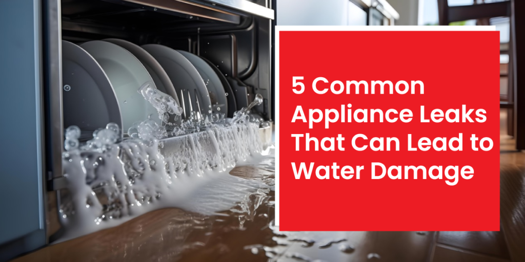 5 Common Appliance Leaks That Can Lead to Water Damage