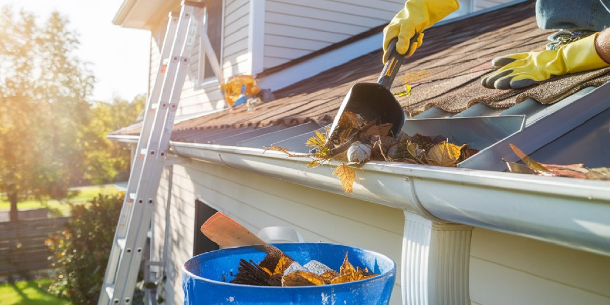 Clean and Maintain Your Gutters