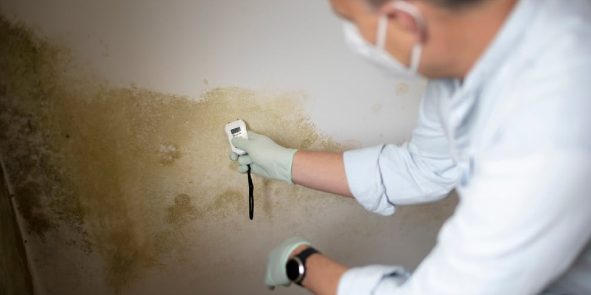 How to Identify Water Damage on Walls