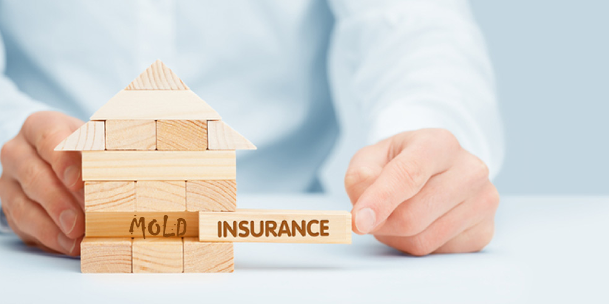 Mold Insurance and Home Liability Mold Insurance and Home Liability