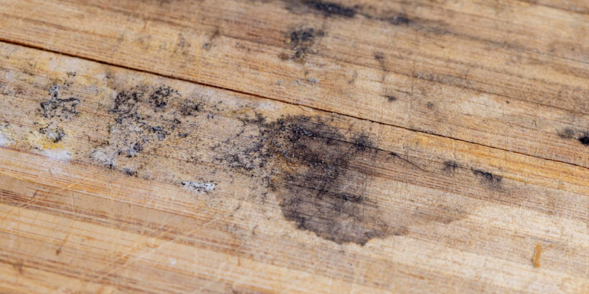 Tips to Keep Mold Away From Wood