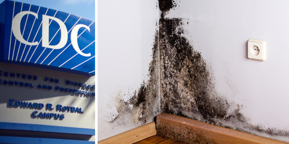 What the EPA and CDC Say What the EPA and CDC Say (USA Guidelines)