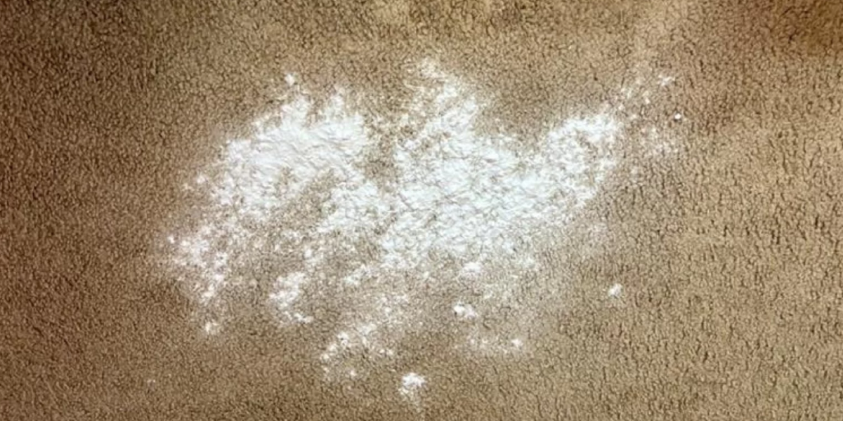 How do you clean mold out of carpet with white vinegar