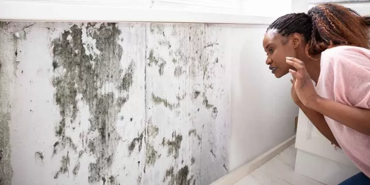 How to clean up mold on drywall