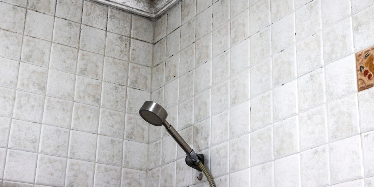 How to get rid of mold in the shower with Bleach How to get rid of mold in the shower with Bleach