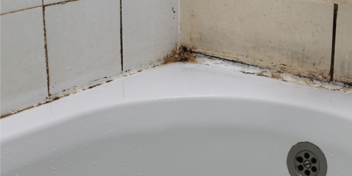 How to prevent shower caulking mold How to prevent shower caulking mold