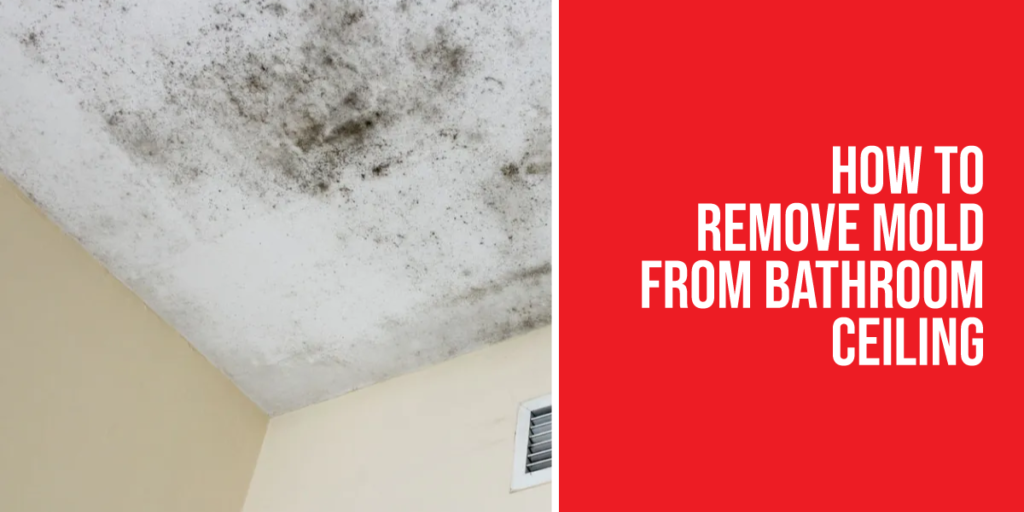 How to remove mold from bathroom ceiling