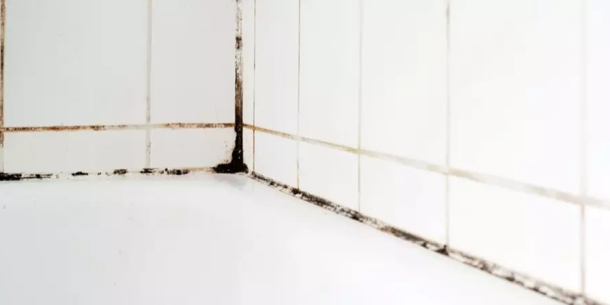 How to remove mold from caulk with white vinegar or hydrogen peroxide How to remove mold from caulk with white vinegar or hydrogen peroxide