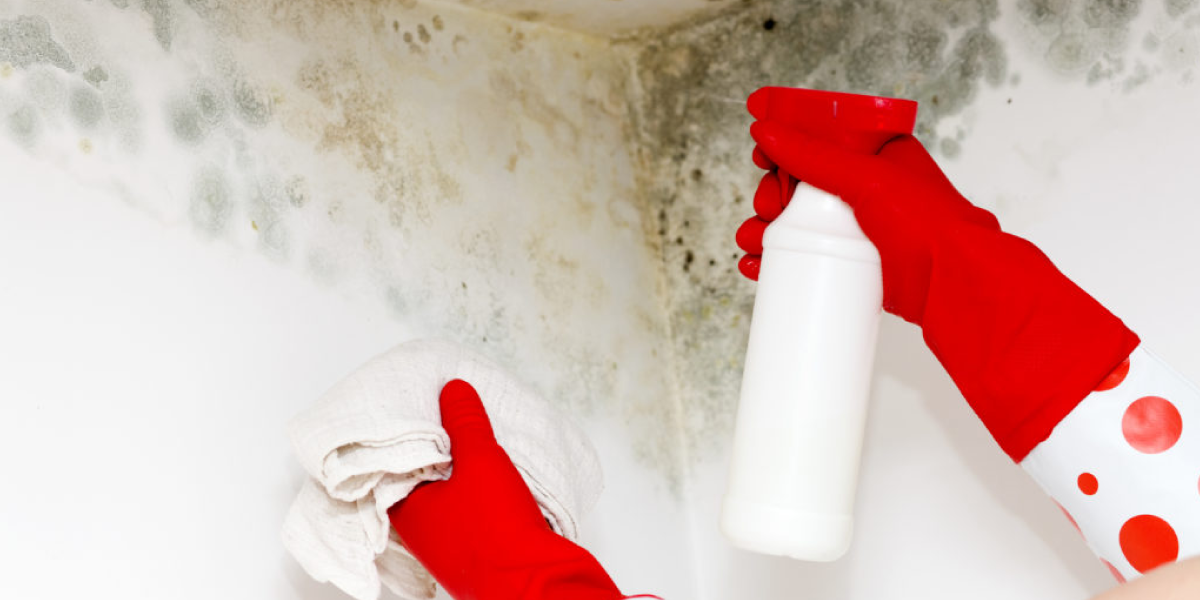 How to remove mold from ceiling in bathroom using vinegar