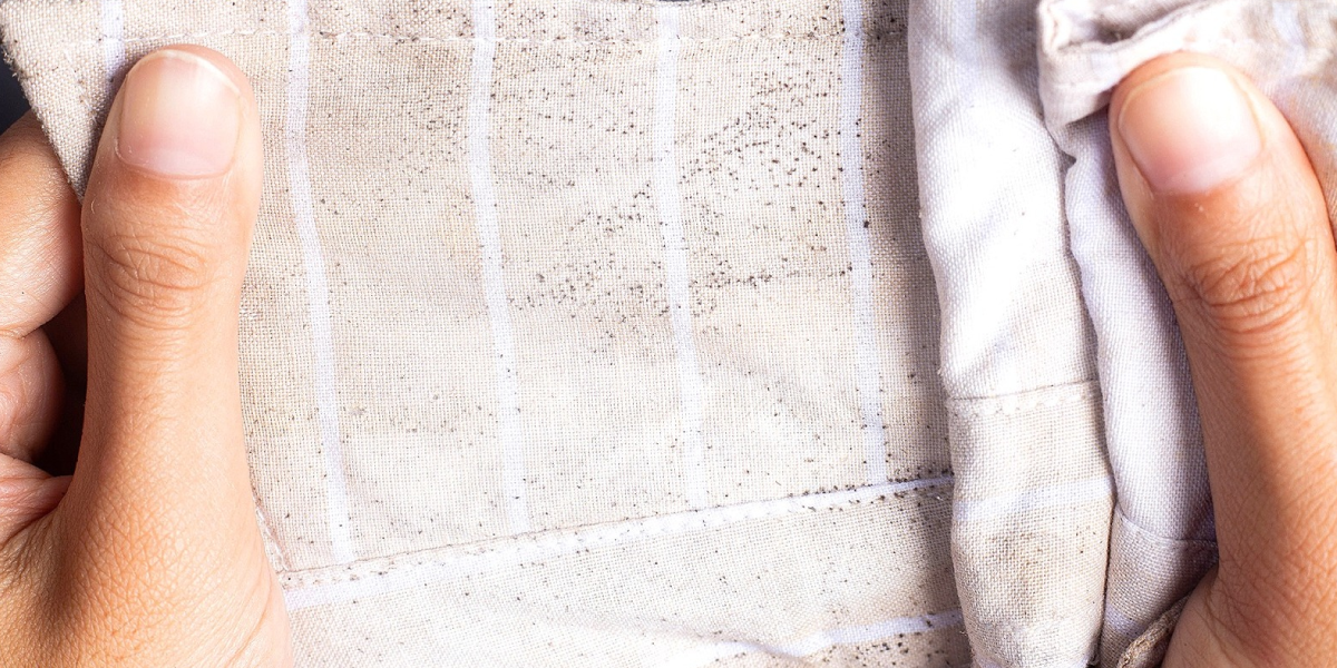 How to remove mold from clothes using sunlight How to remove mold from clothes using sunlight