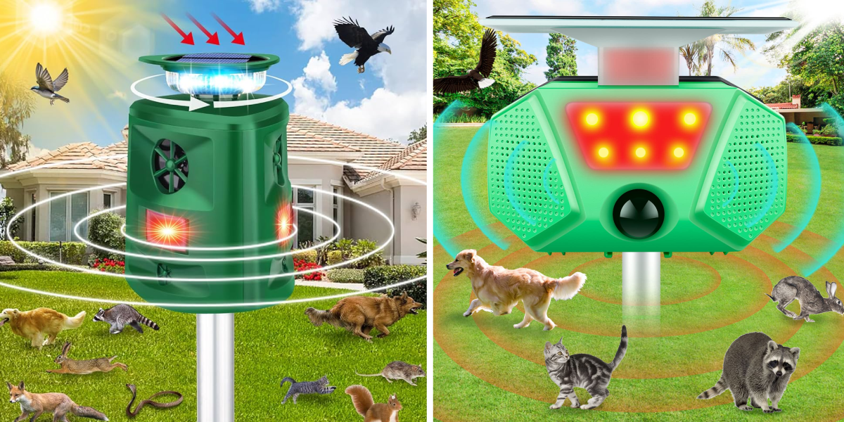 Add Motion Lights and Repellents