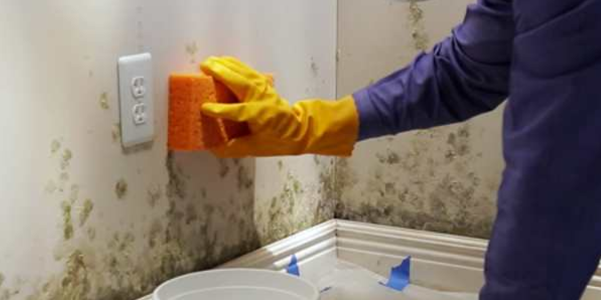 Should You Remove Mold Yourself