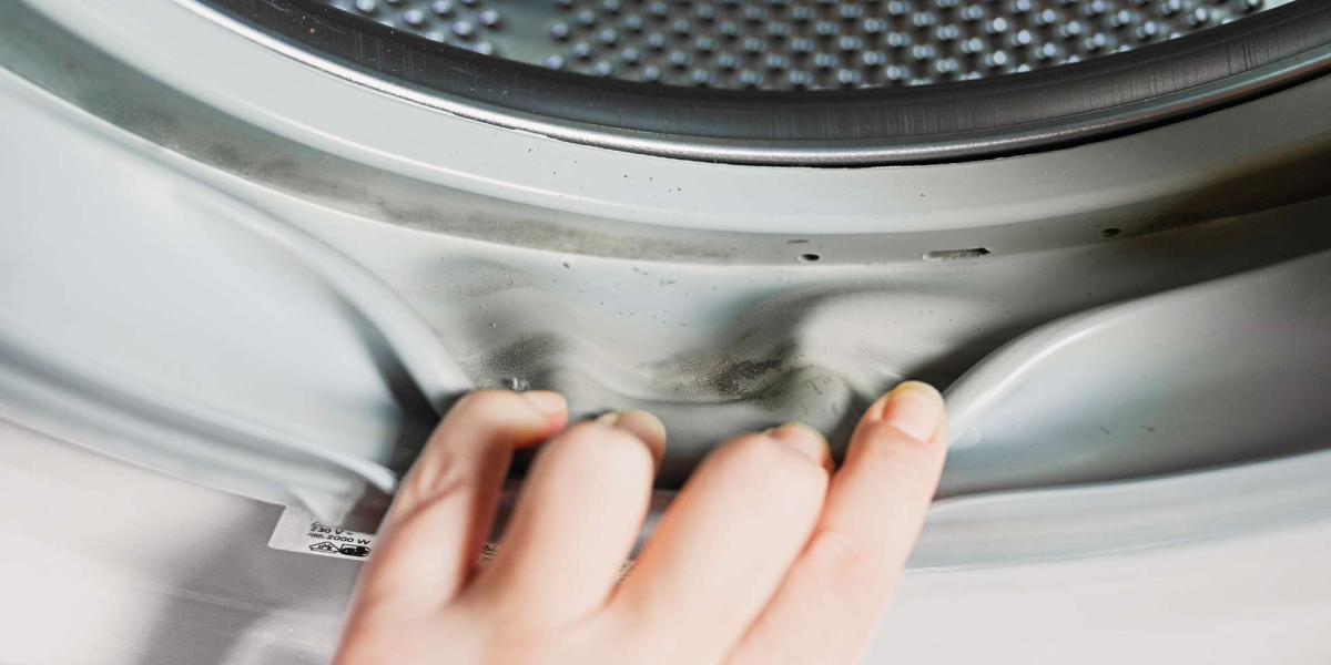 Why Does Mold Grow in Washing Machines