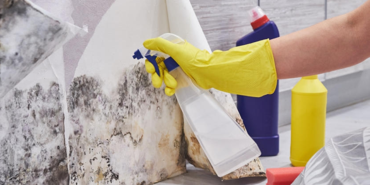 How to remove black mold and other kinds of mold